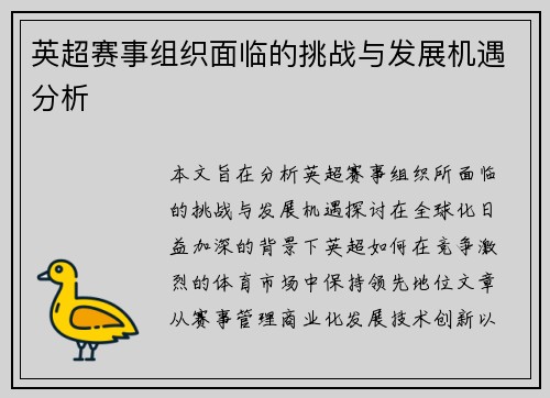 英超赛事组织面临的挑战与发展机遇分析